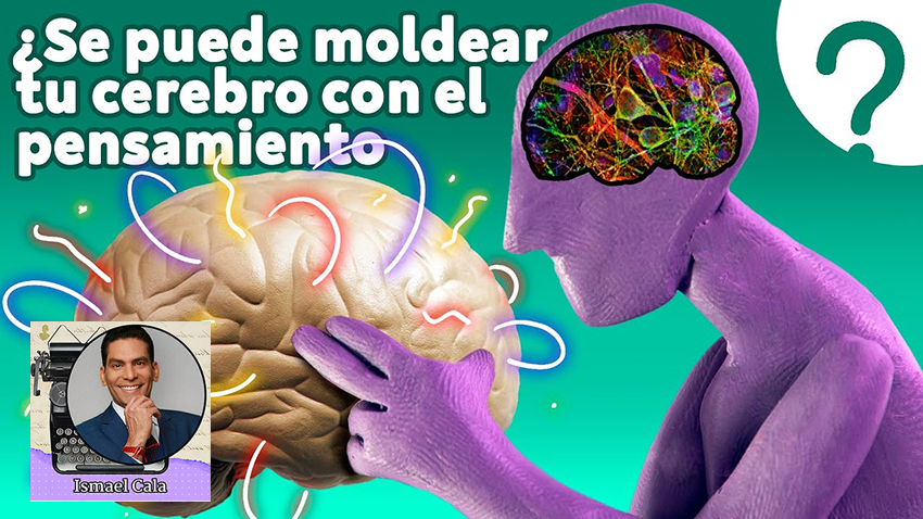 Nuestros cerebros se reconfiguran en respuesta a nuestras experiencias, pensamientos, aprendizajes y prácticas diarias